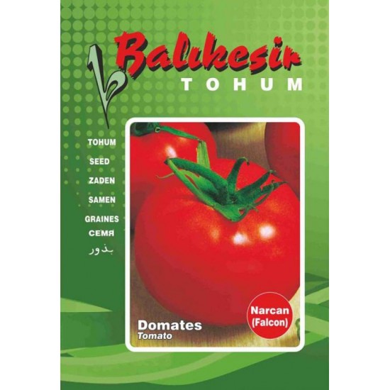 Domates Tohumu FALCON Balıkesir 10 gr paket - Sebze Tohumu Domates Tohumu FALCON Balıkesir 10 gr paket - Sebze Tohumu
