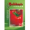 Domates Tohumu FALCON Balıkesir 10 gr paket - Sebze Tohumu