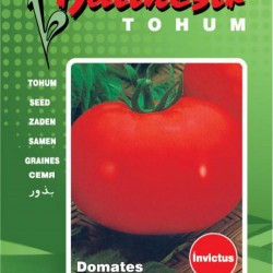 Domates Tohumu İNVİCTUS Balıkesir 10 gr paket - Sebze Tohumu